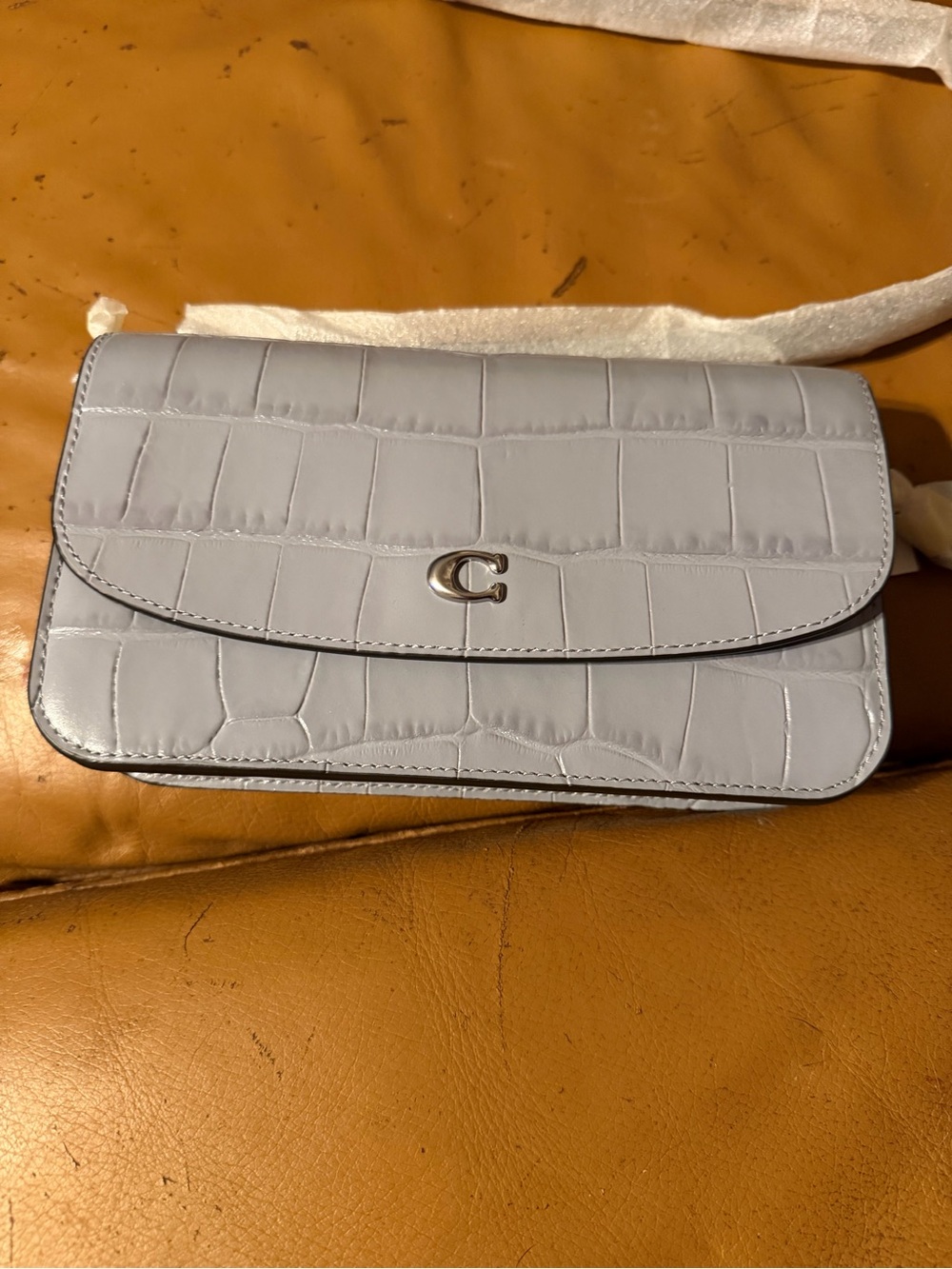Coach Croc-Embossed Leather Crossbody in Light Blue